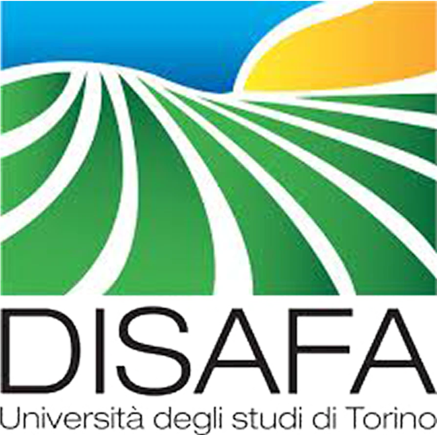 logo disafa
