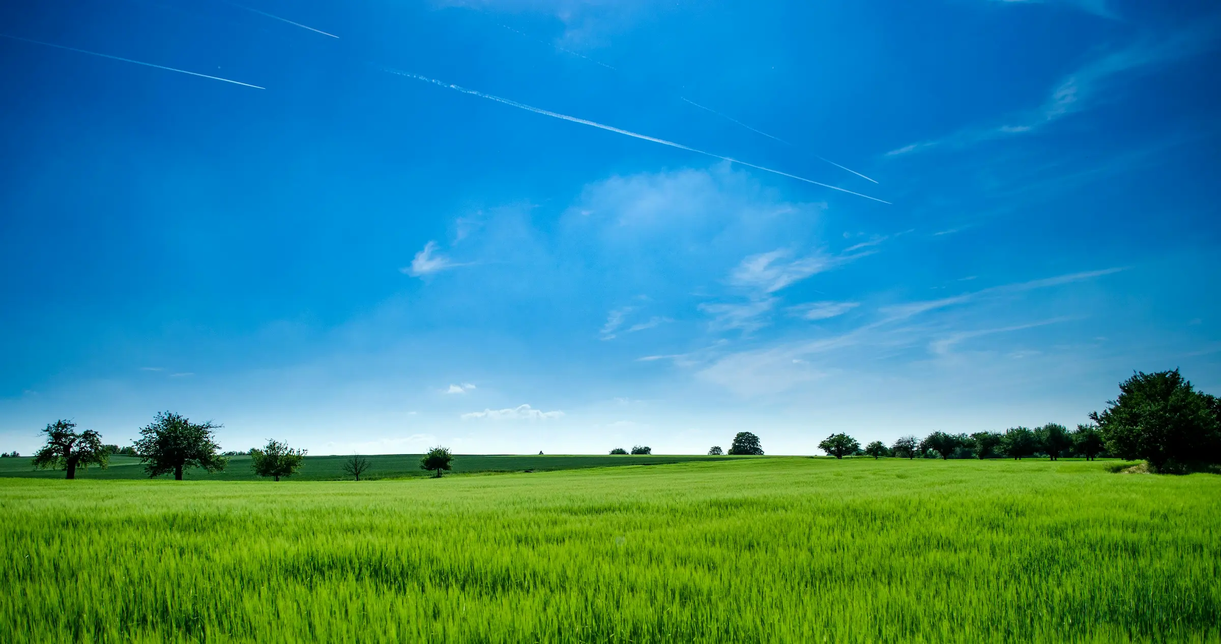 CSA in Piemonte: agricoltura partecipata e comunità in azione