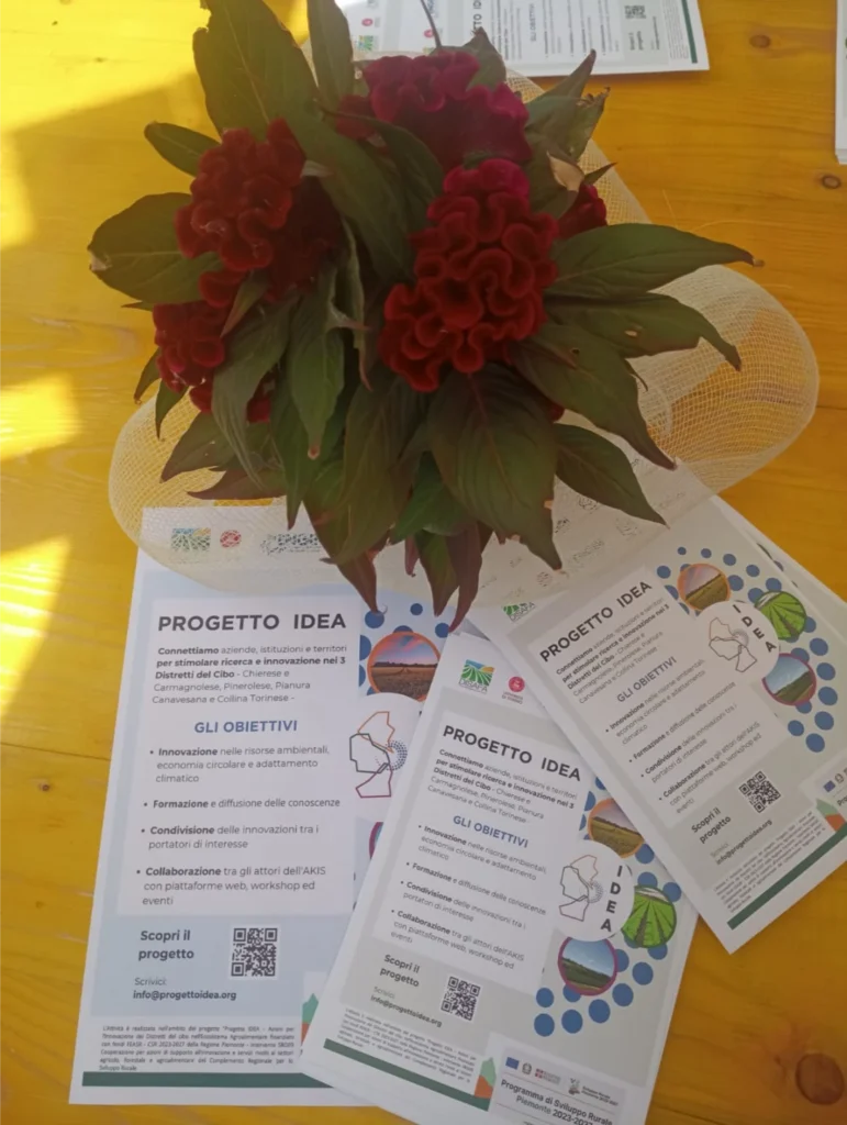 Progetto IDEA - Eventi Maggio e Giugno