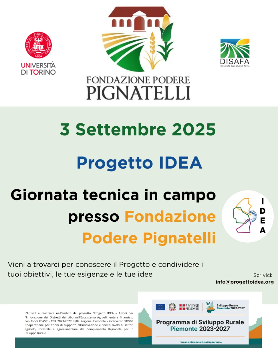 Pignatelli