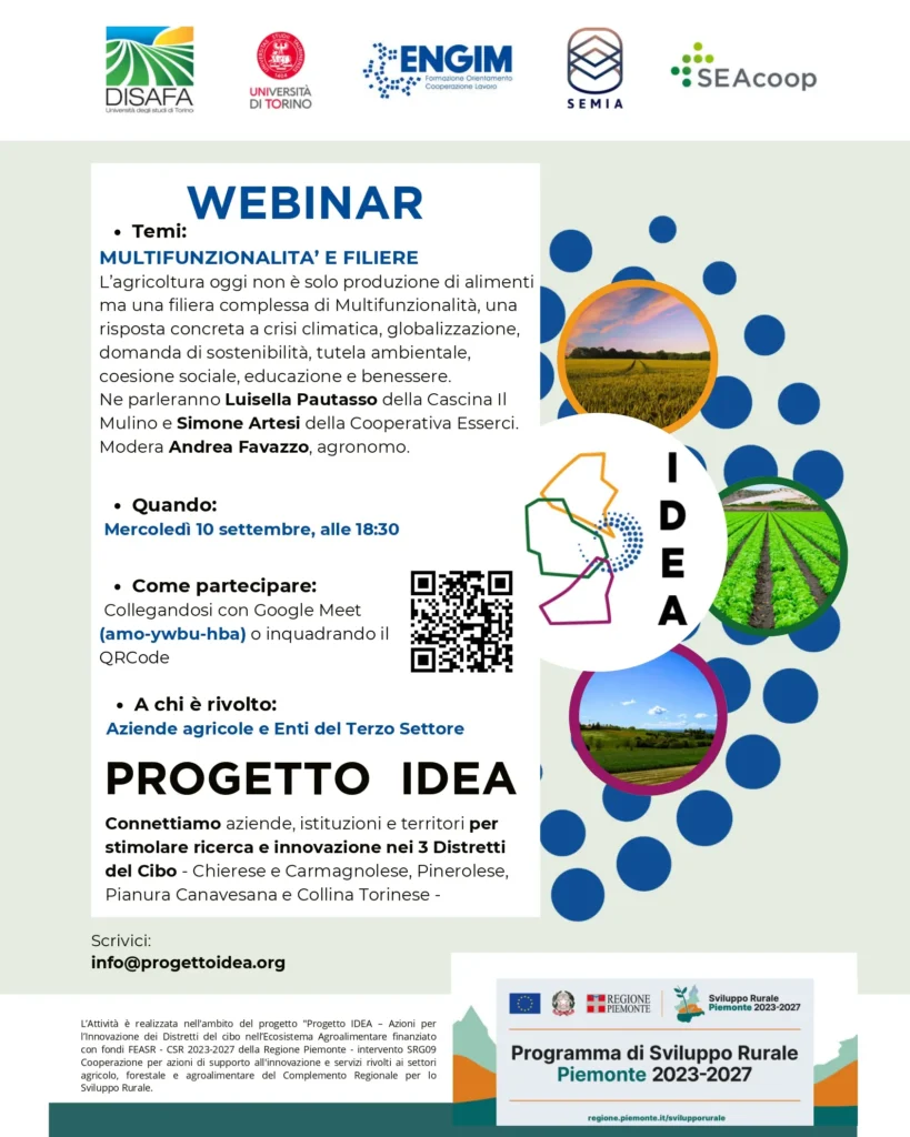 Progetto IDEA Webinar 10092025 1 page 0001 1