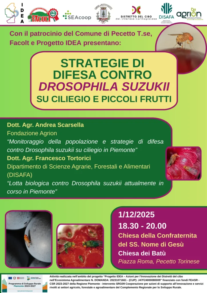 Incontro approfondimento Drosophila DEF