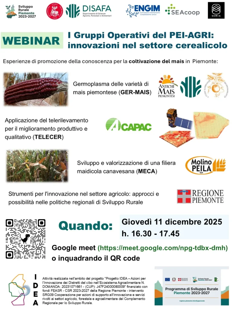 Webinar - I GO del PEI-AGRI 1 Locandina Webinar IDEA 11 dic 2025