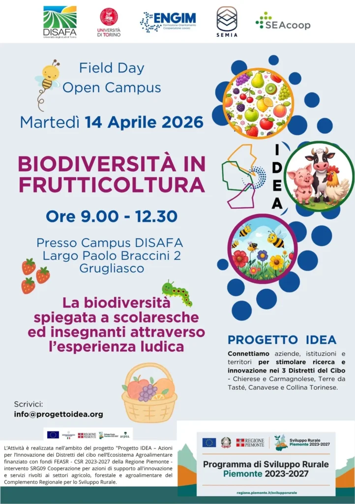 Webinar mense scolastiche sviluppo territorio 2