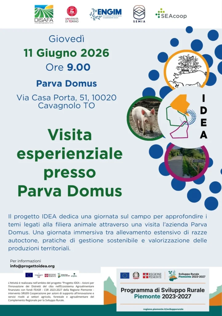 Locandina Parva Domus